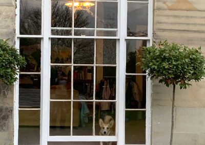 Sash Window / Georgian bar window - Cheltenham home with dog looking out window